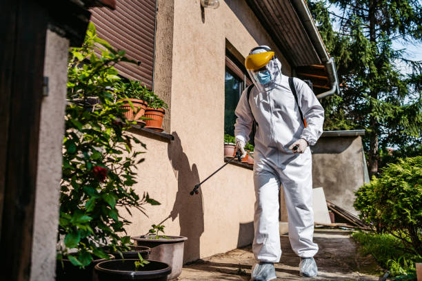Best Pest Removal Services  in Shanor Northvue, PA