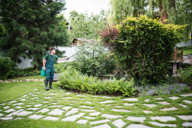 Best Affordable Pest Control Services  in Shanor Northvue, PA