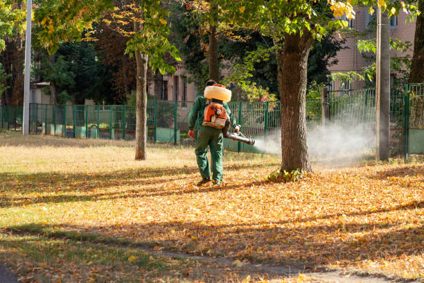 Professional Pest Control in Shanor Northvue, PA