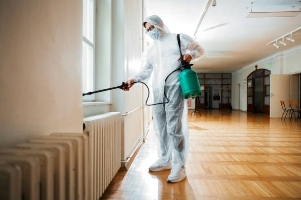 Best Bed Bug Extermination  in Shanor Northvue, PA