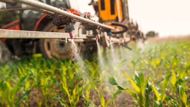 Best Mosquito Control Services  in Shanor Northvue, PA